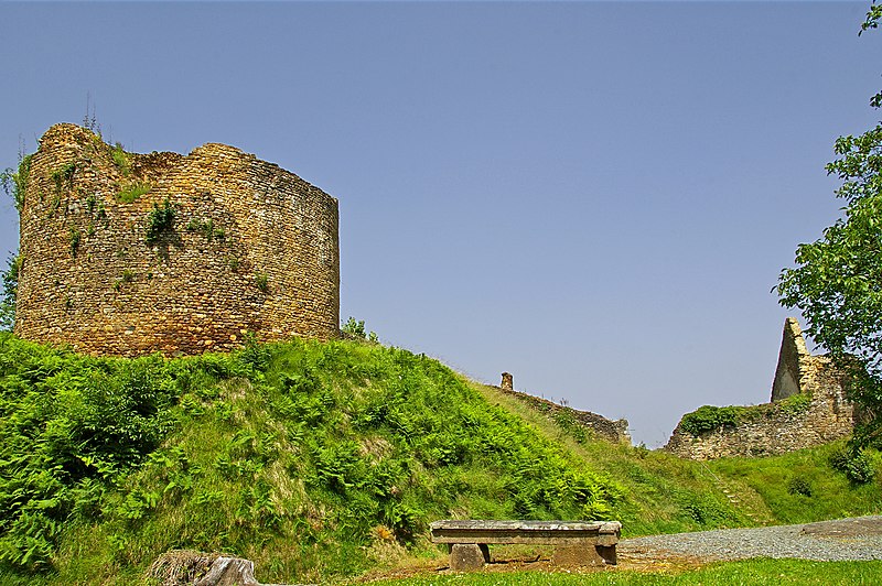 Château de Cluis