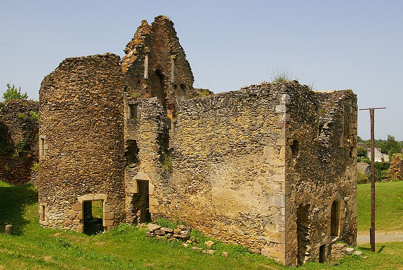 Château de Cluis