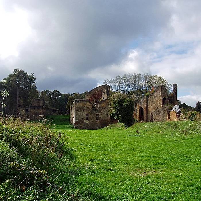 Photo de Château de Cluis