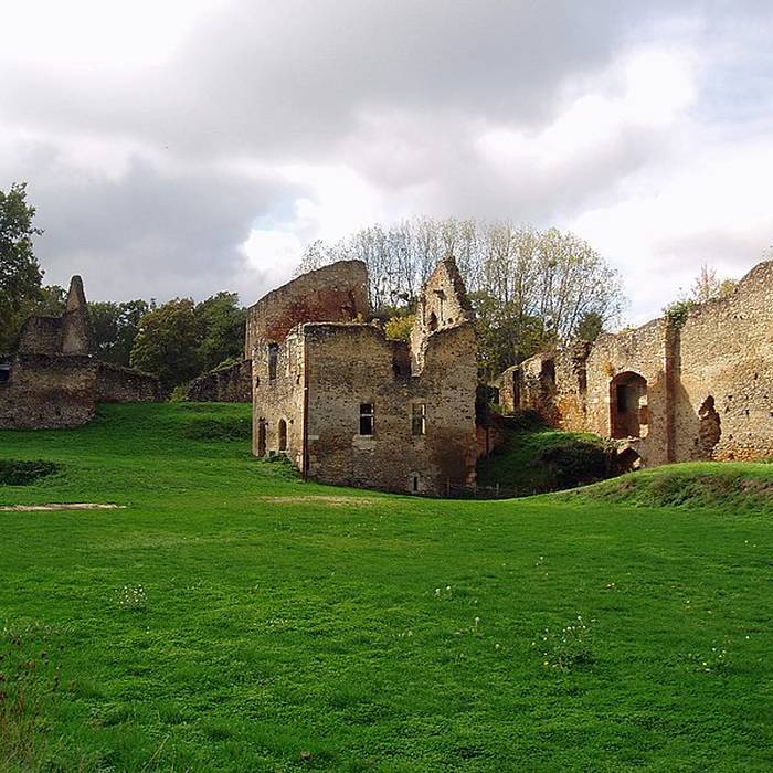 Photo de Château de Cluis