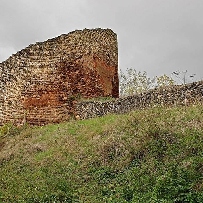 Photo de Château de Cluis