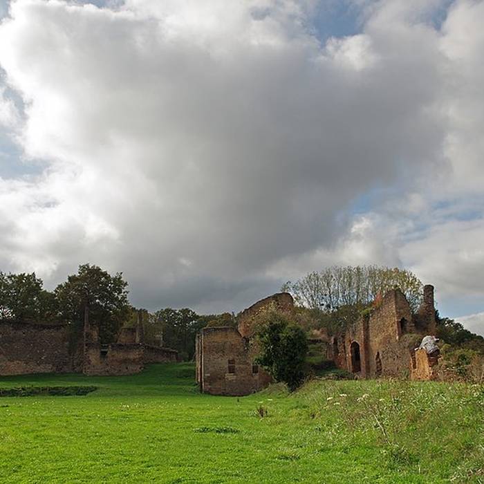 Photo de Château de Cluis