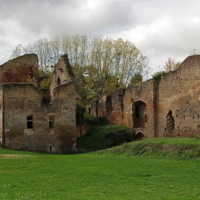 Photo de Château de Cluis