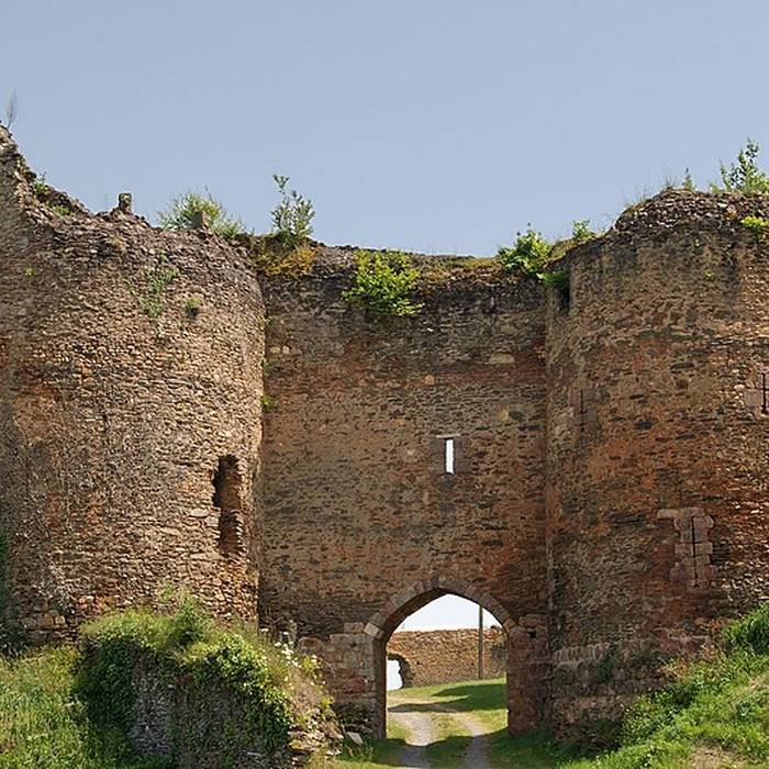 Photo de Château de Cluis