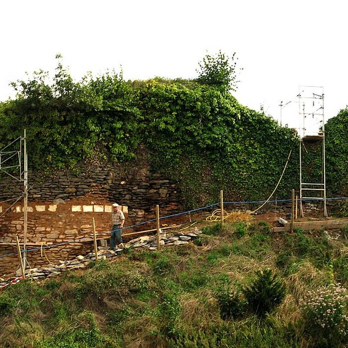 Photo de Château de Cluis