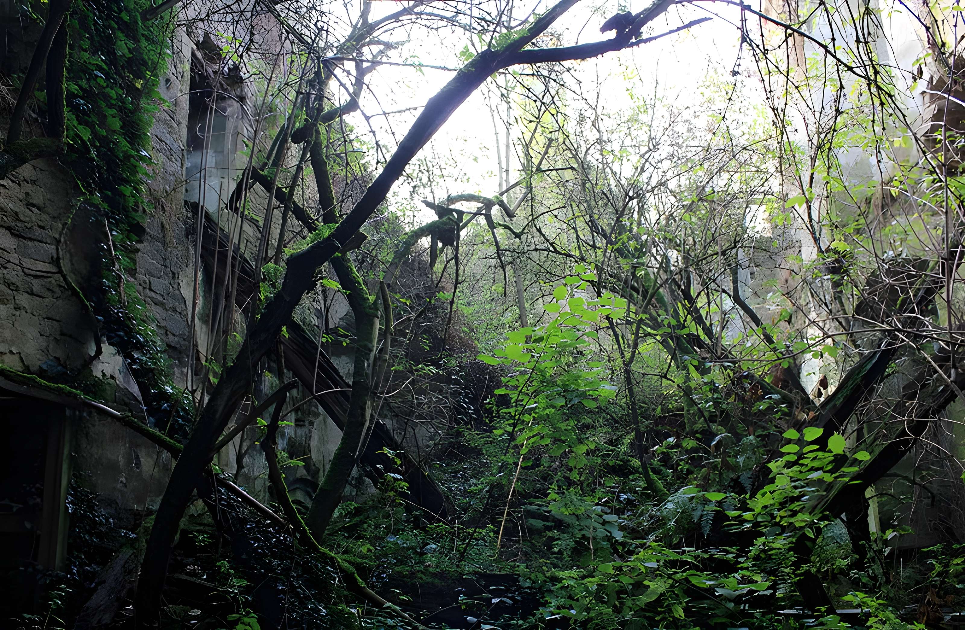 Château de Coët-Candec