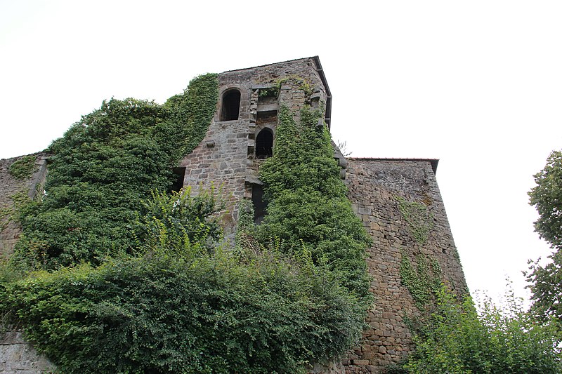 Photo de Château de Coëtquen