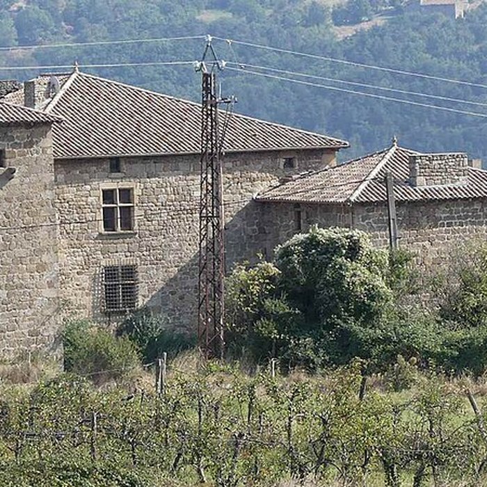 Photo de Château de Colombier-le-Vieux