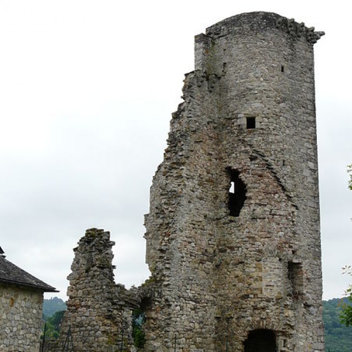 Photo de Château de Cornil