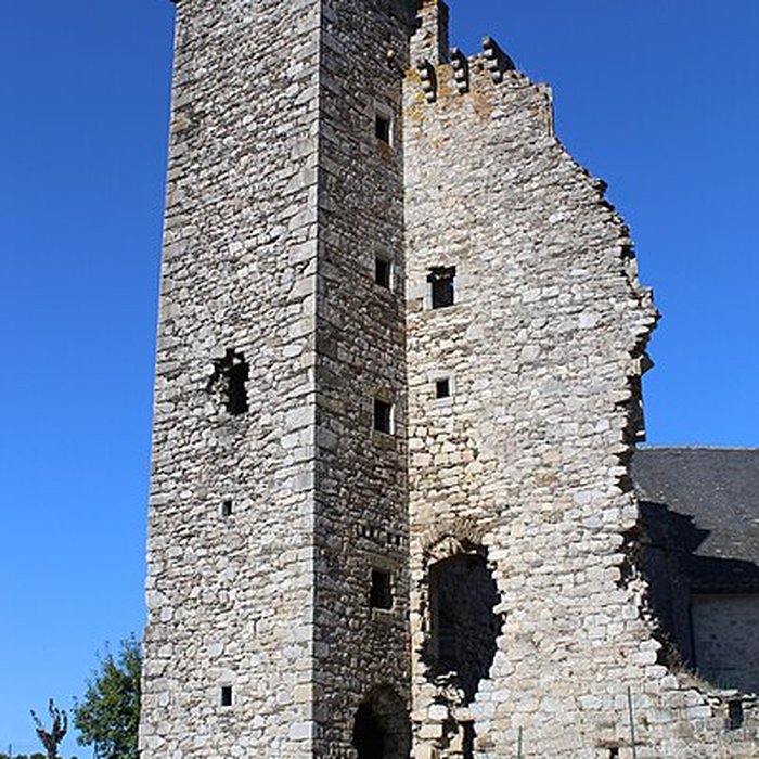 Photo de Château de Cornil