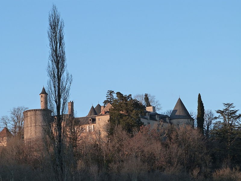 Photo de Château de Cornusson