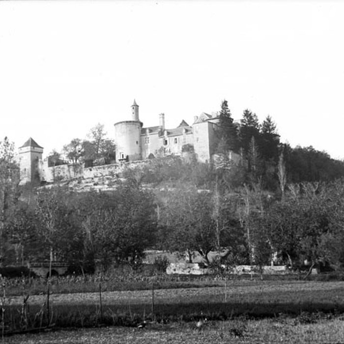 Photo de Château de Cornusson
