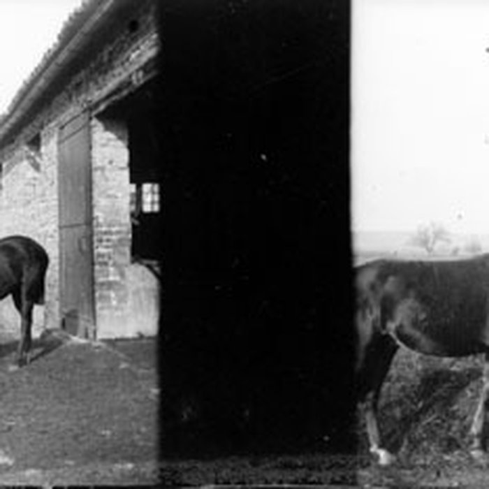 Photo de Château de Cornusson