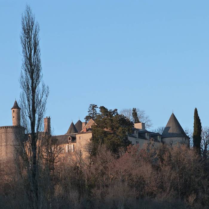 Photo de Château de Cornusson