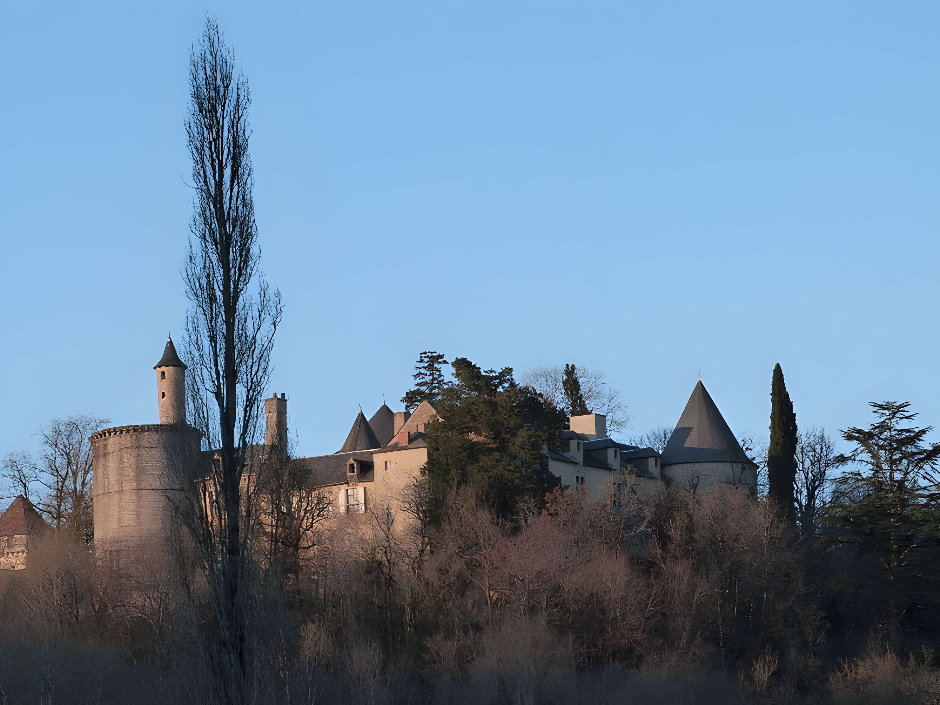 Château de Cornusson 