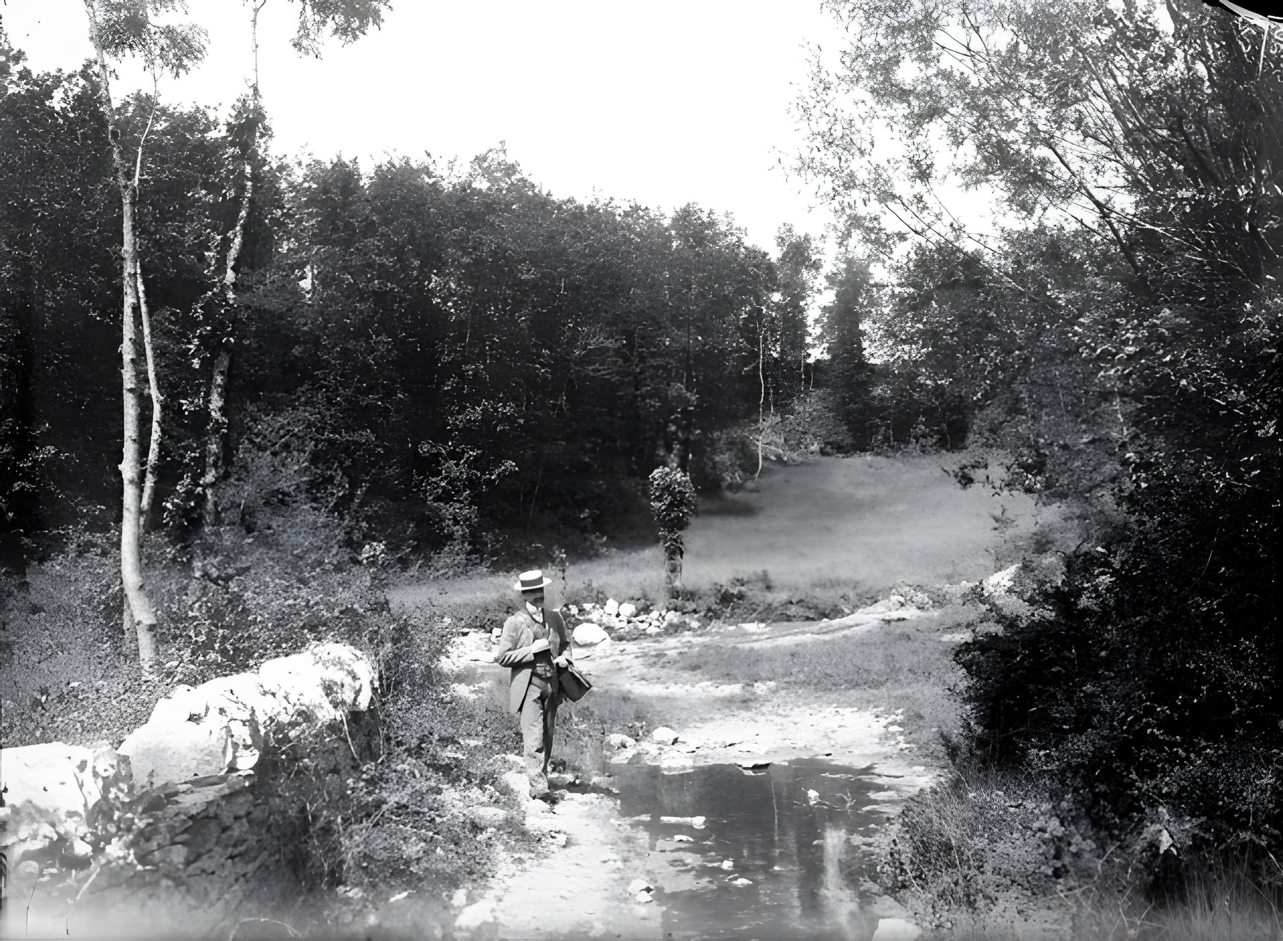 Château de Cornusson