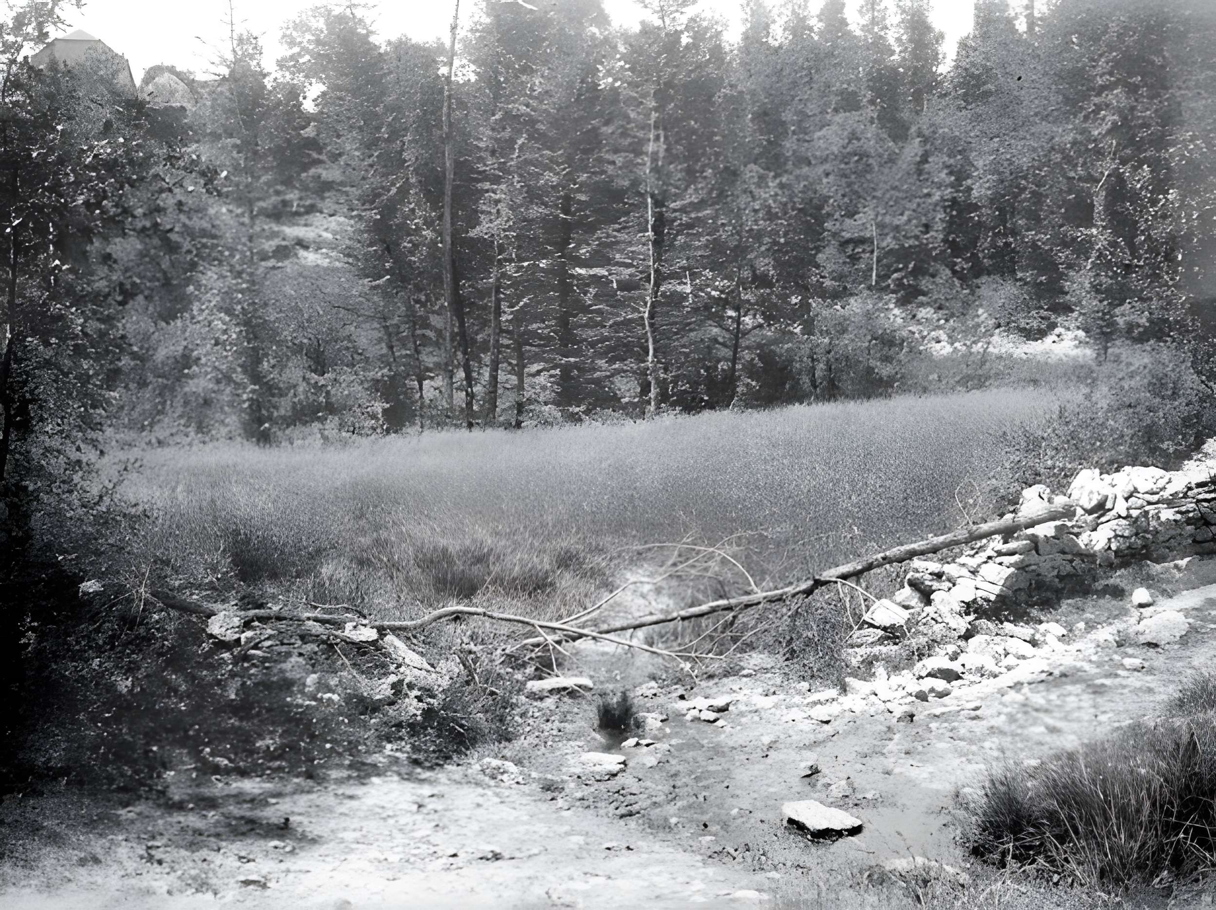 Château de Cornusson