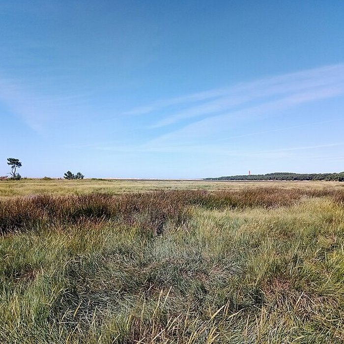 Photo de Phare de la Coubre