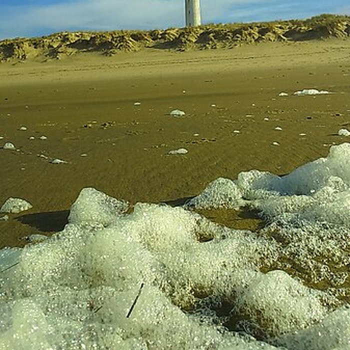 Photo de Phare de la Coubre