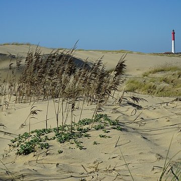 Phare de la Coubre