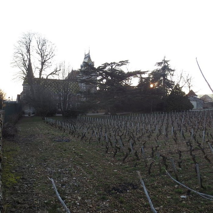 Photo de Château de Corton-André