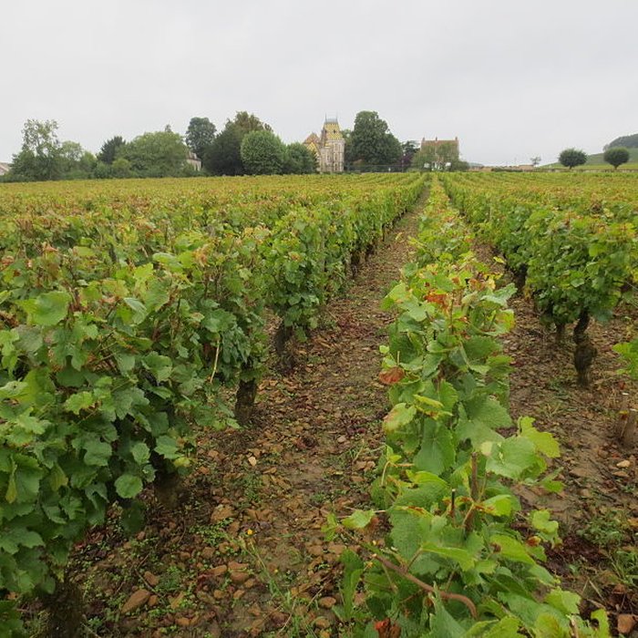 Photo de Château de Corton-André