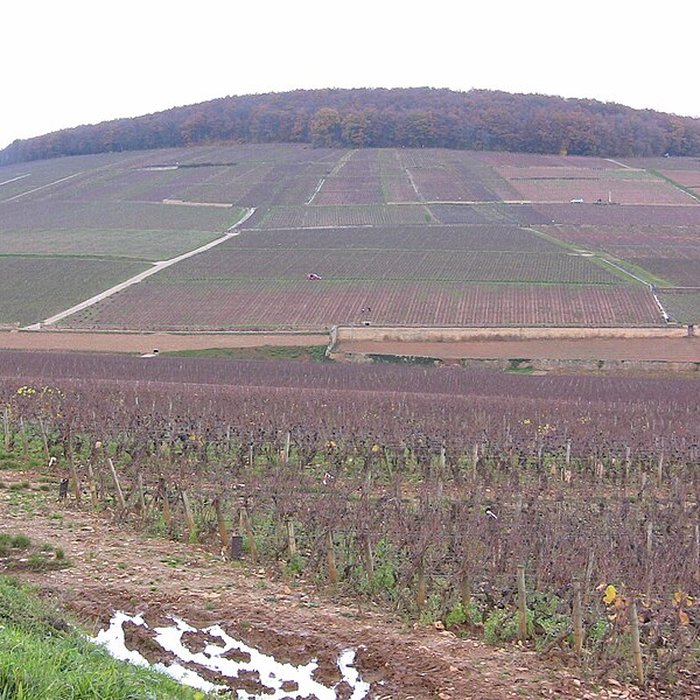 Photo de Château de Corton-André