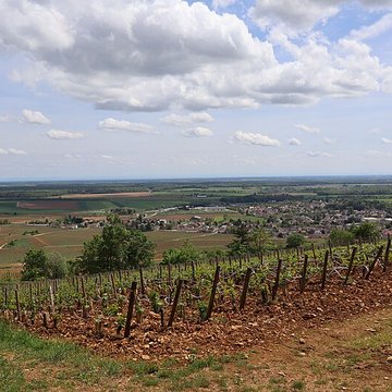 Château de Corton-André