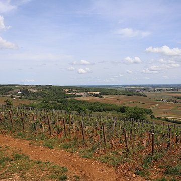 Château de Corton-André