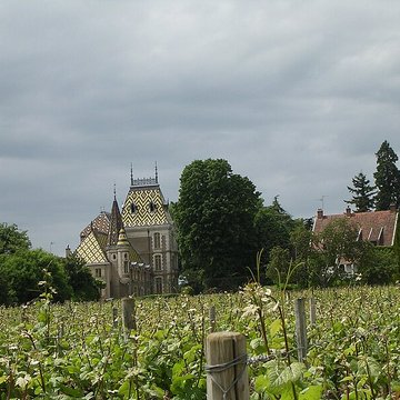Château de Corton-André