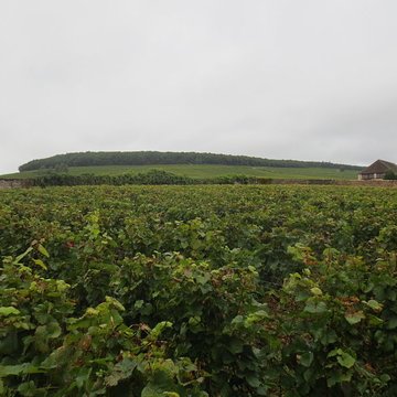 Château de Corton-André