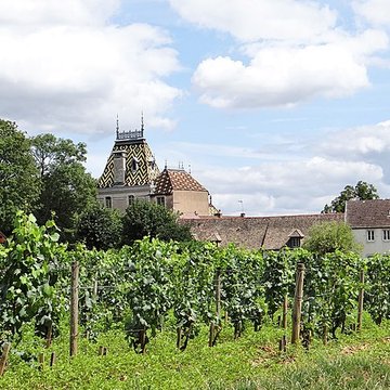 Château de Corton-André