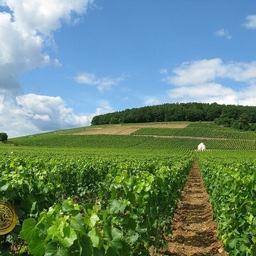Château de Corton-André