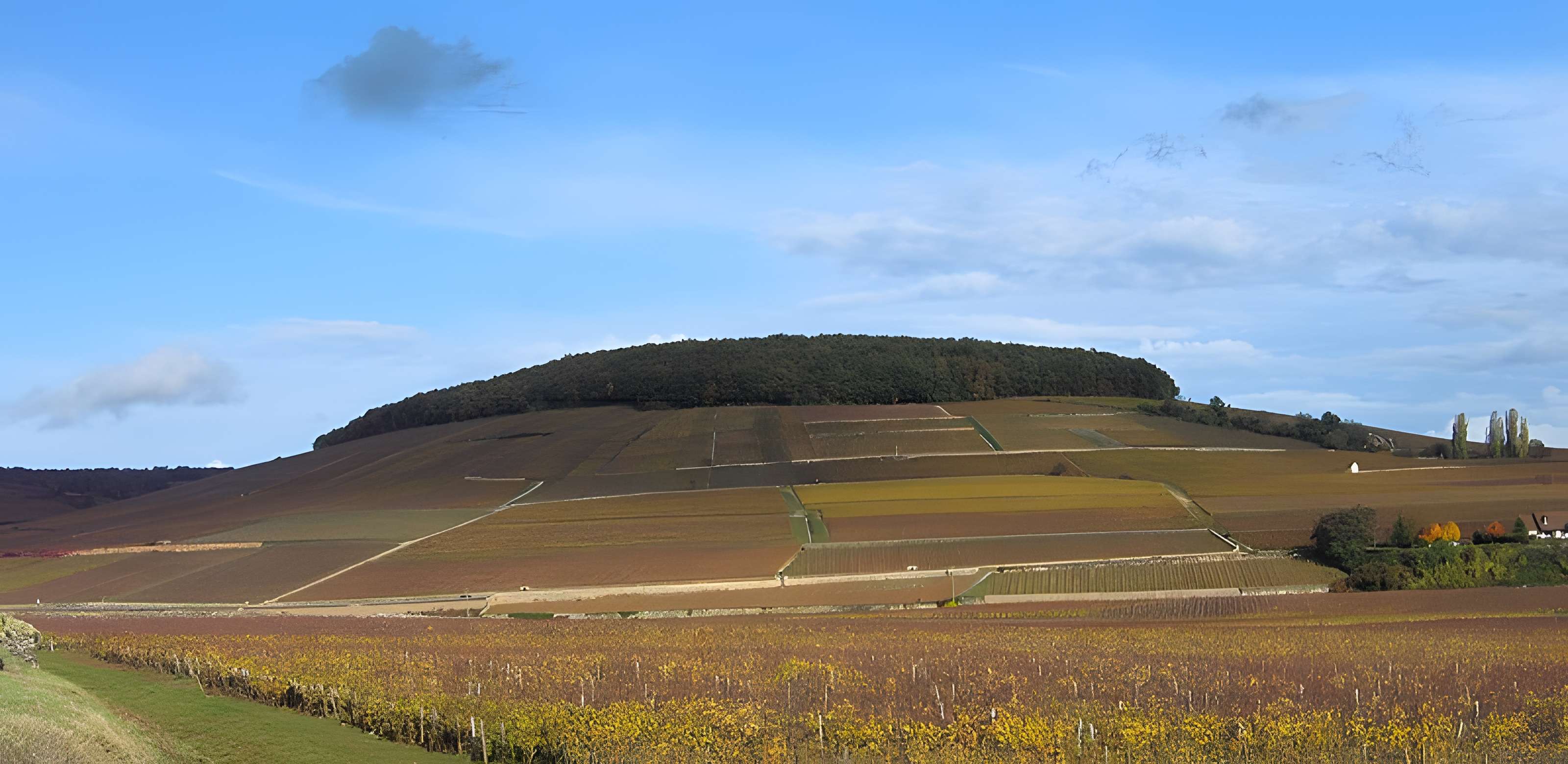 Château de Corton-André
