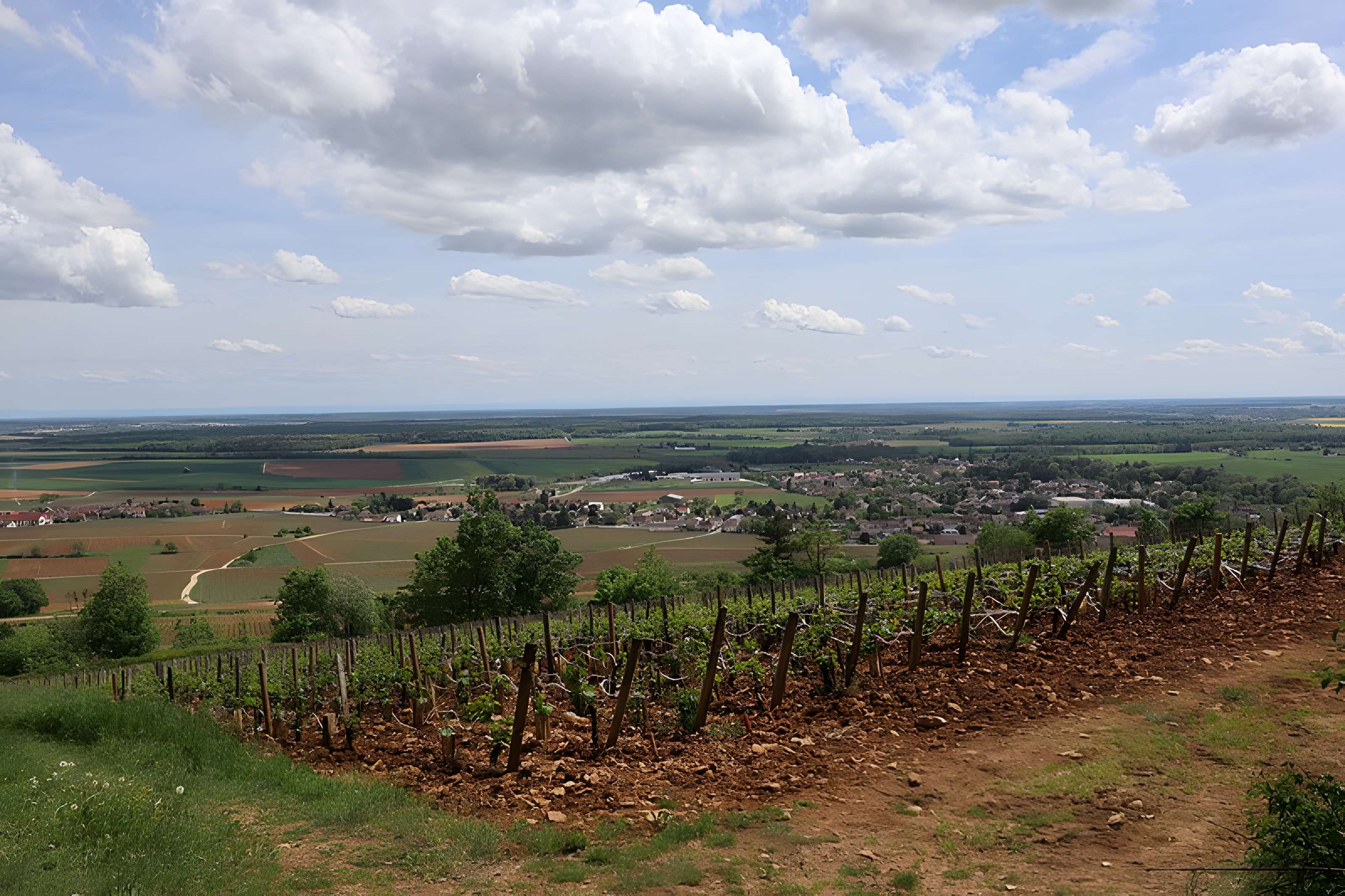 Château de Corton-André