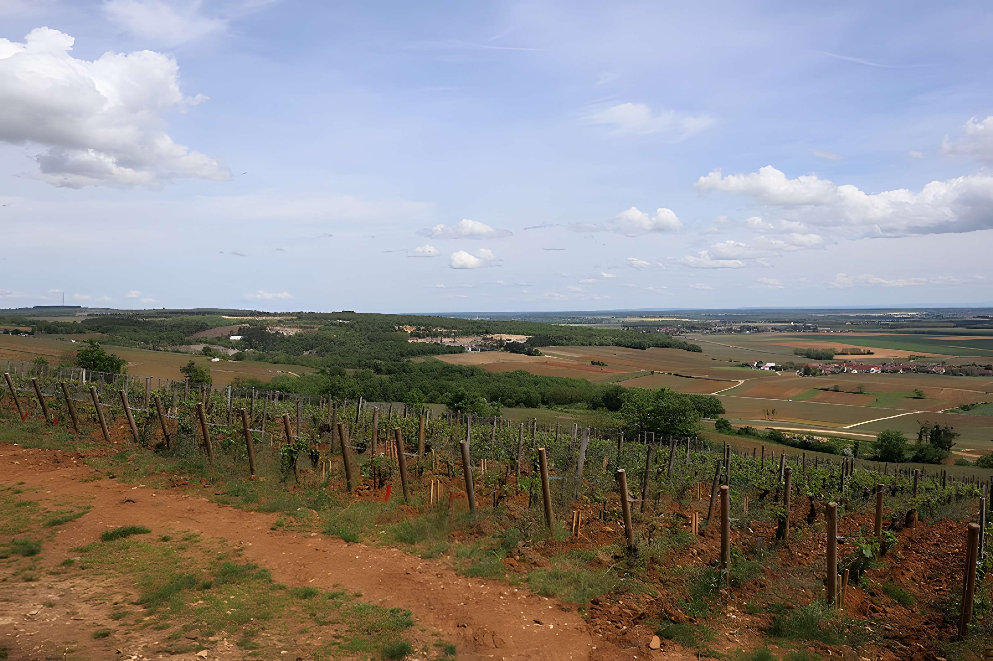 Château de Corton-André