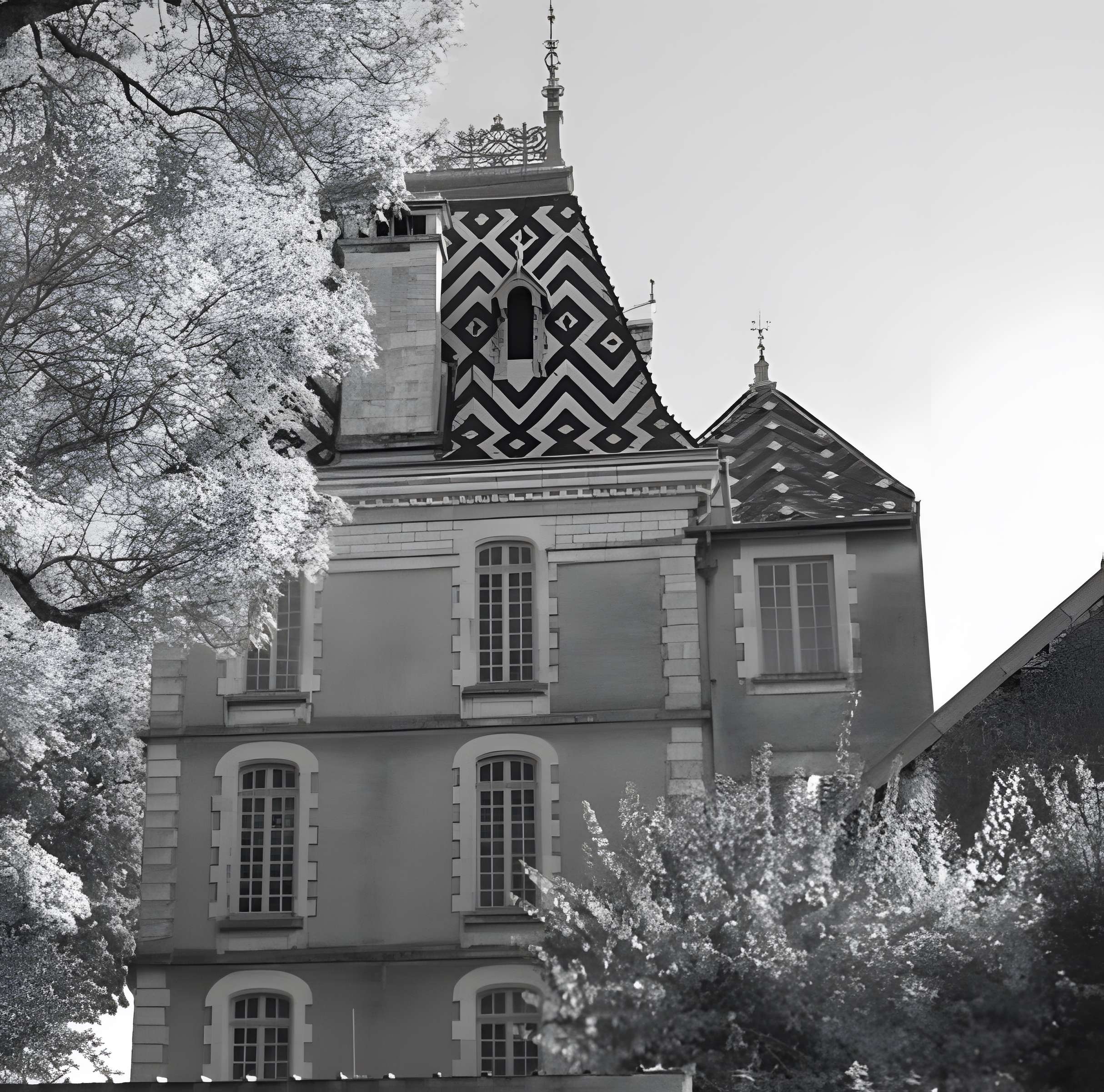 Château de Corton-André