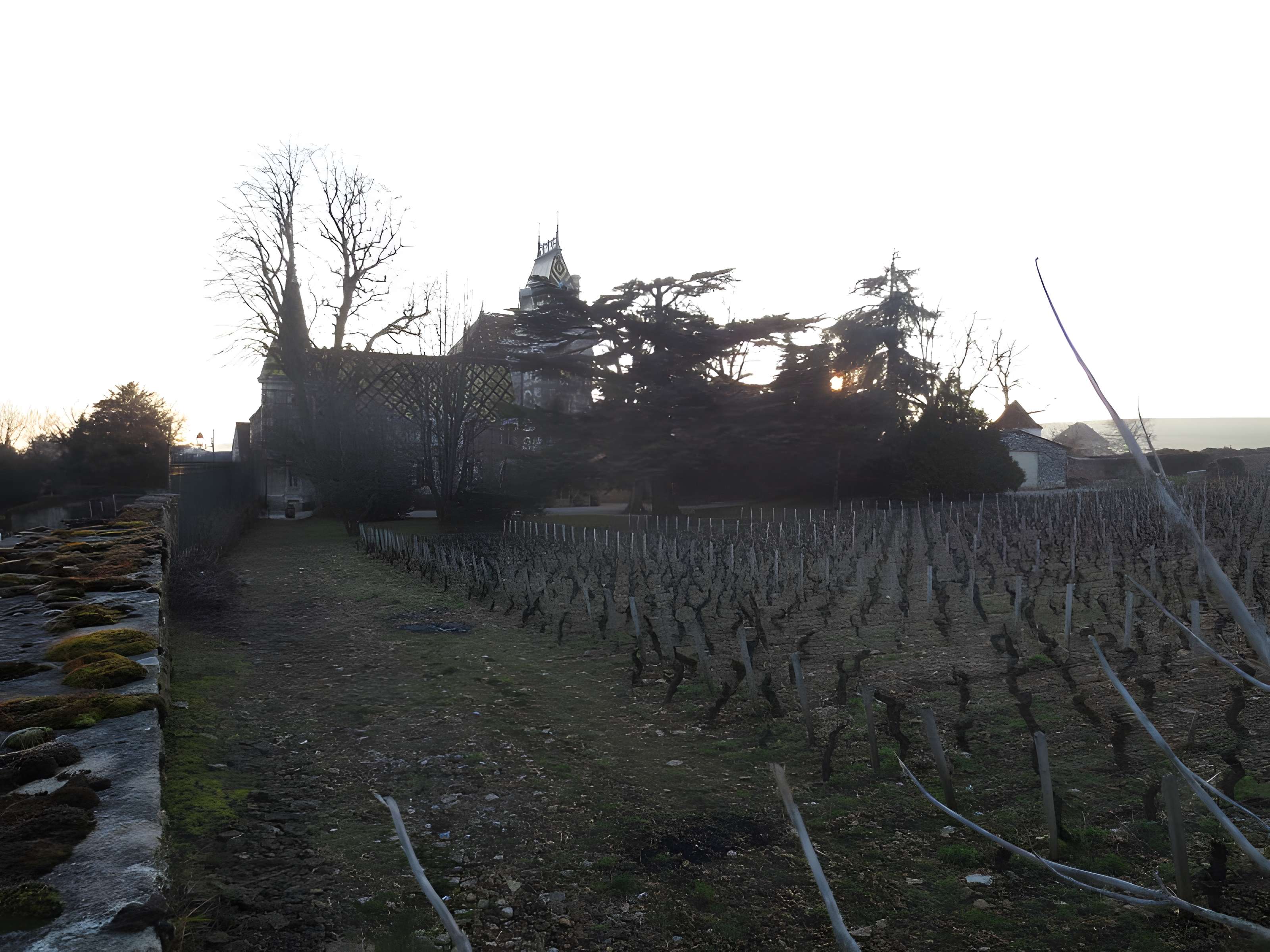 Château de Corton-André