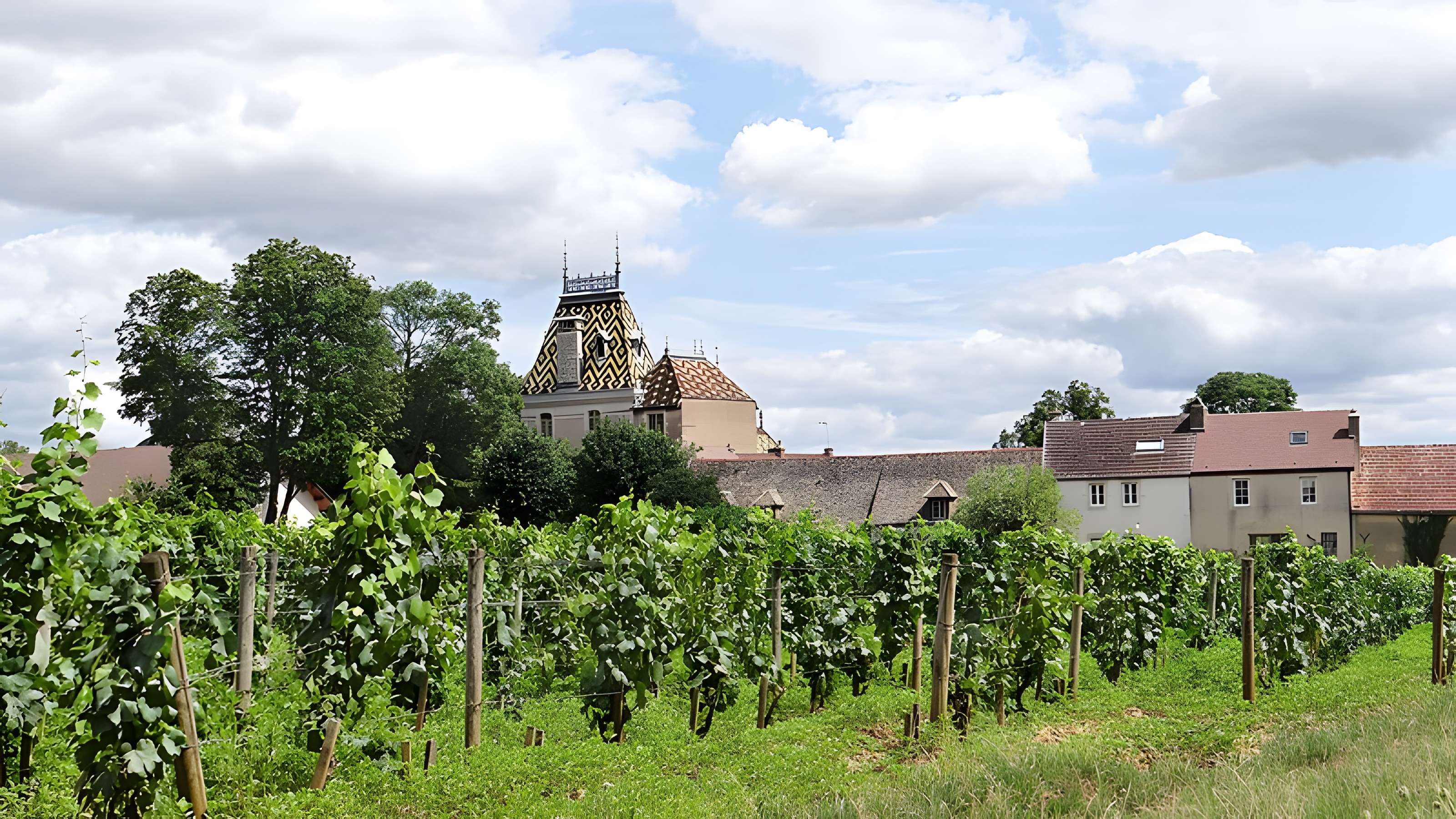 Château de Corton-André
