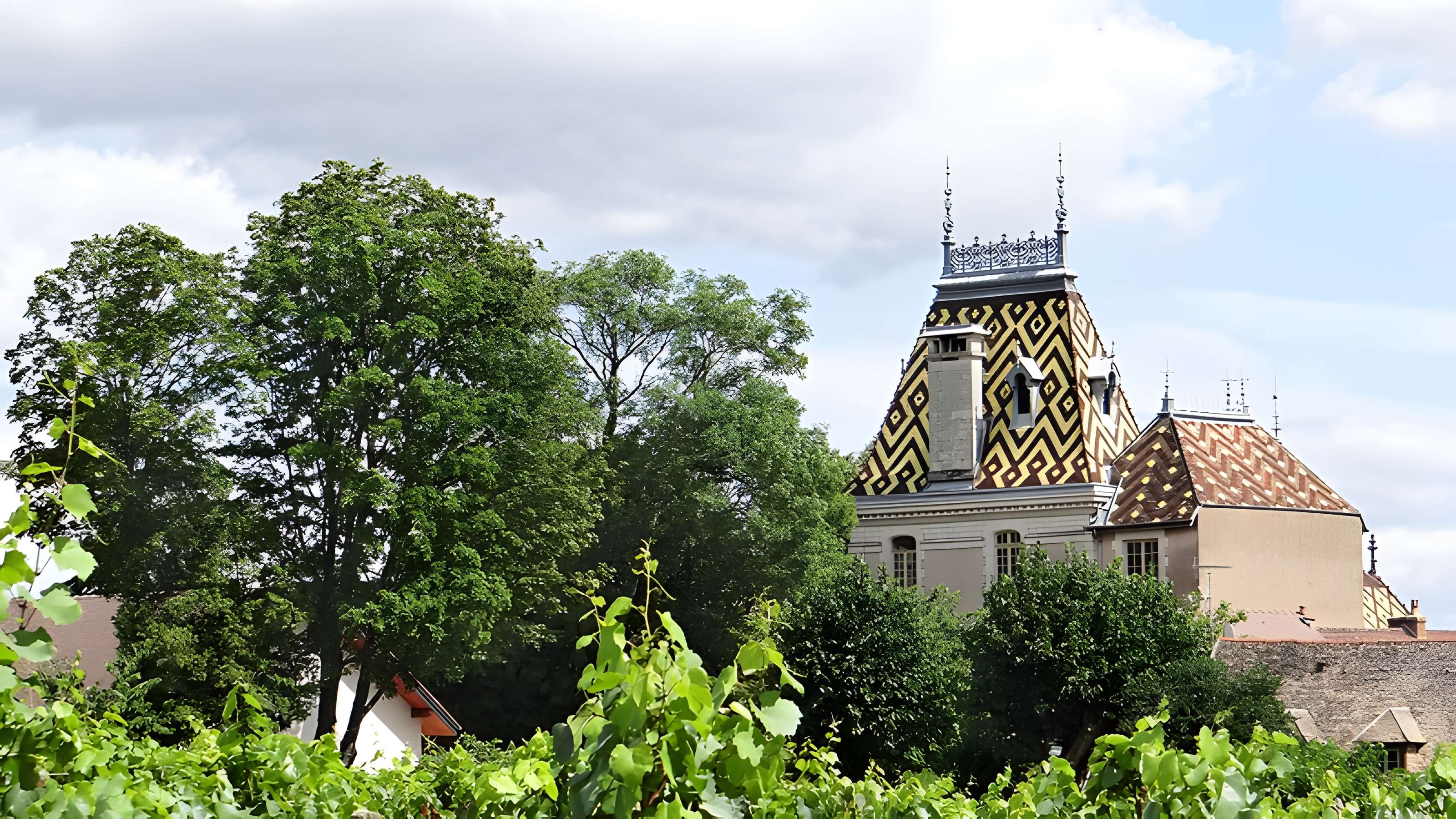 Château de Corton-André