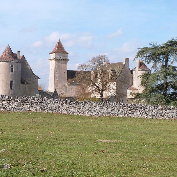 Photo de Château de Couanac