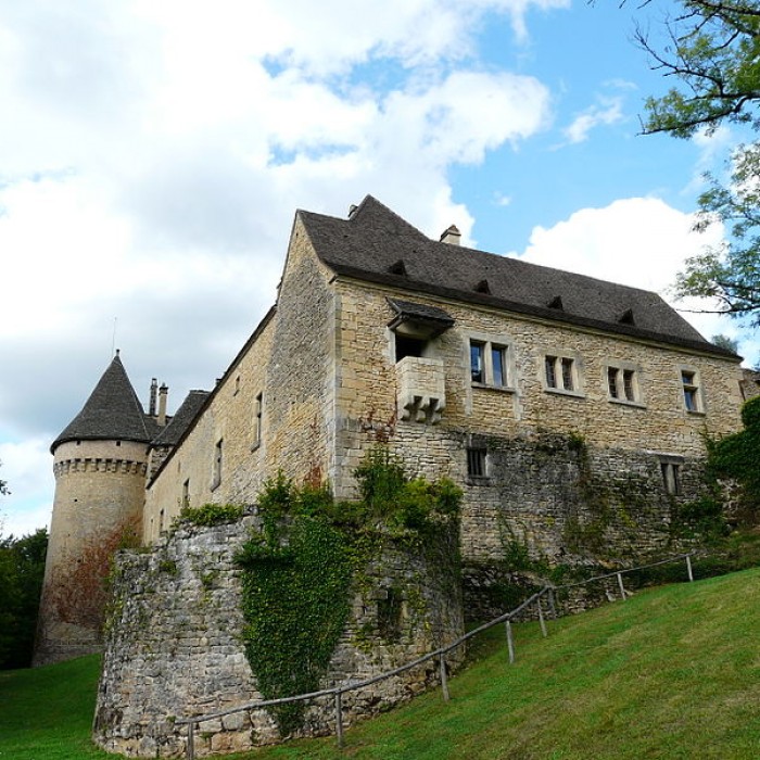 Photo de Château de Coulonges