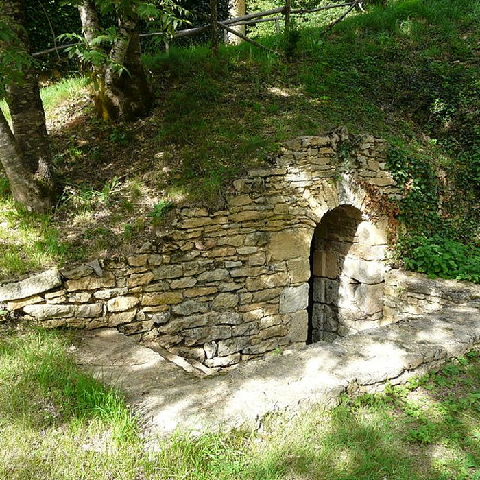 Photo de Château de Coulonges