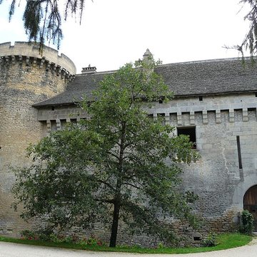 Château de Coulonges