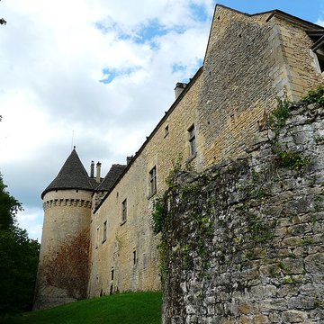 Château de Coulonges