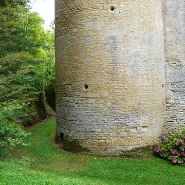 Château de Coulonges