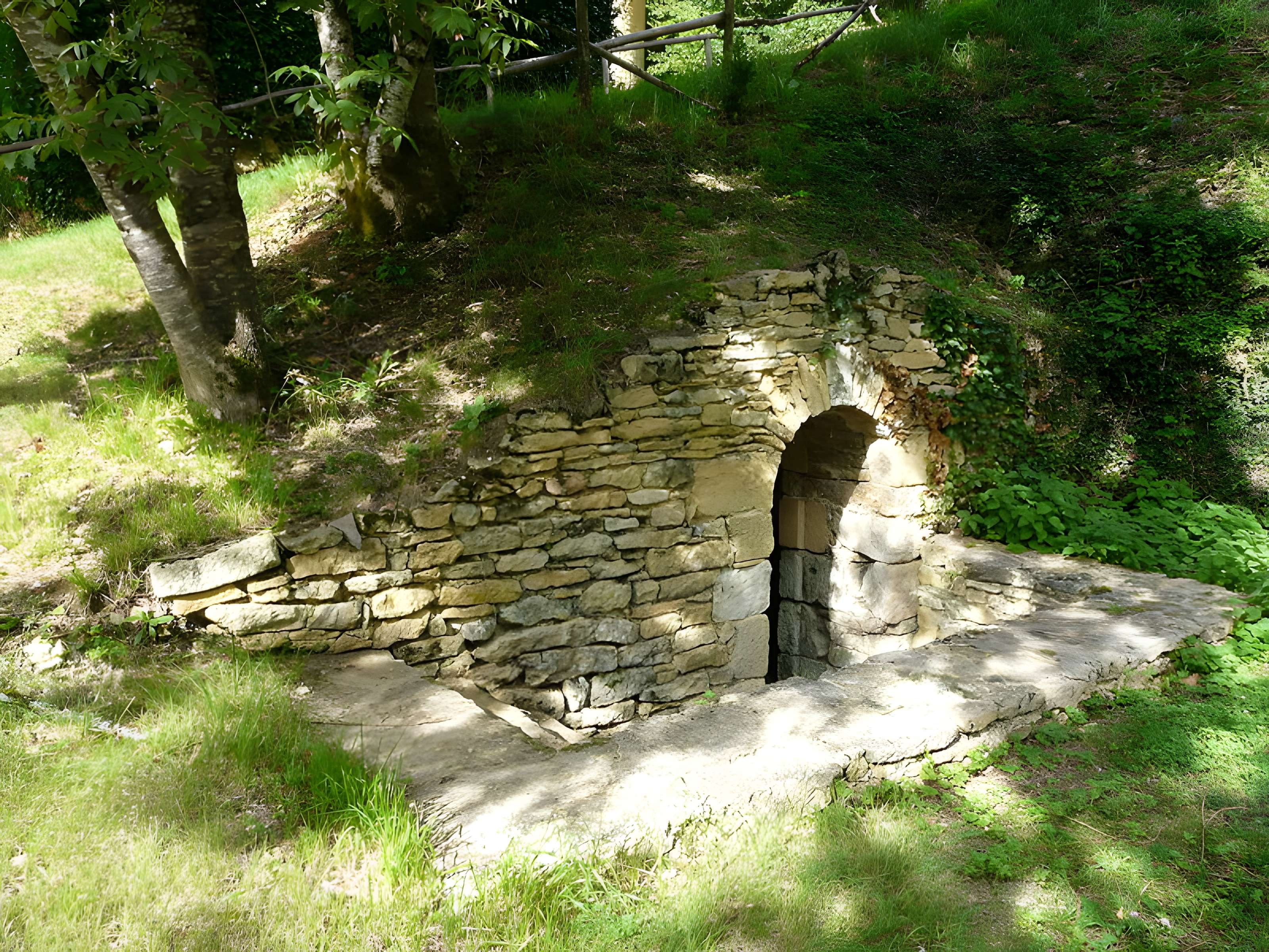 Château de Coulonges