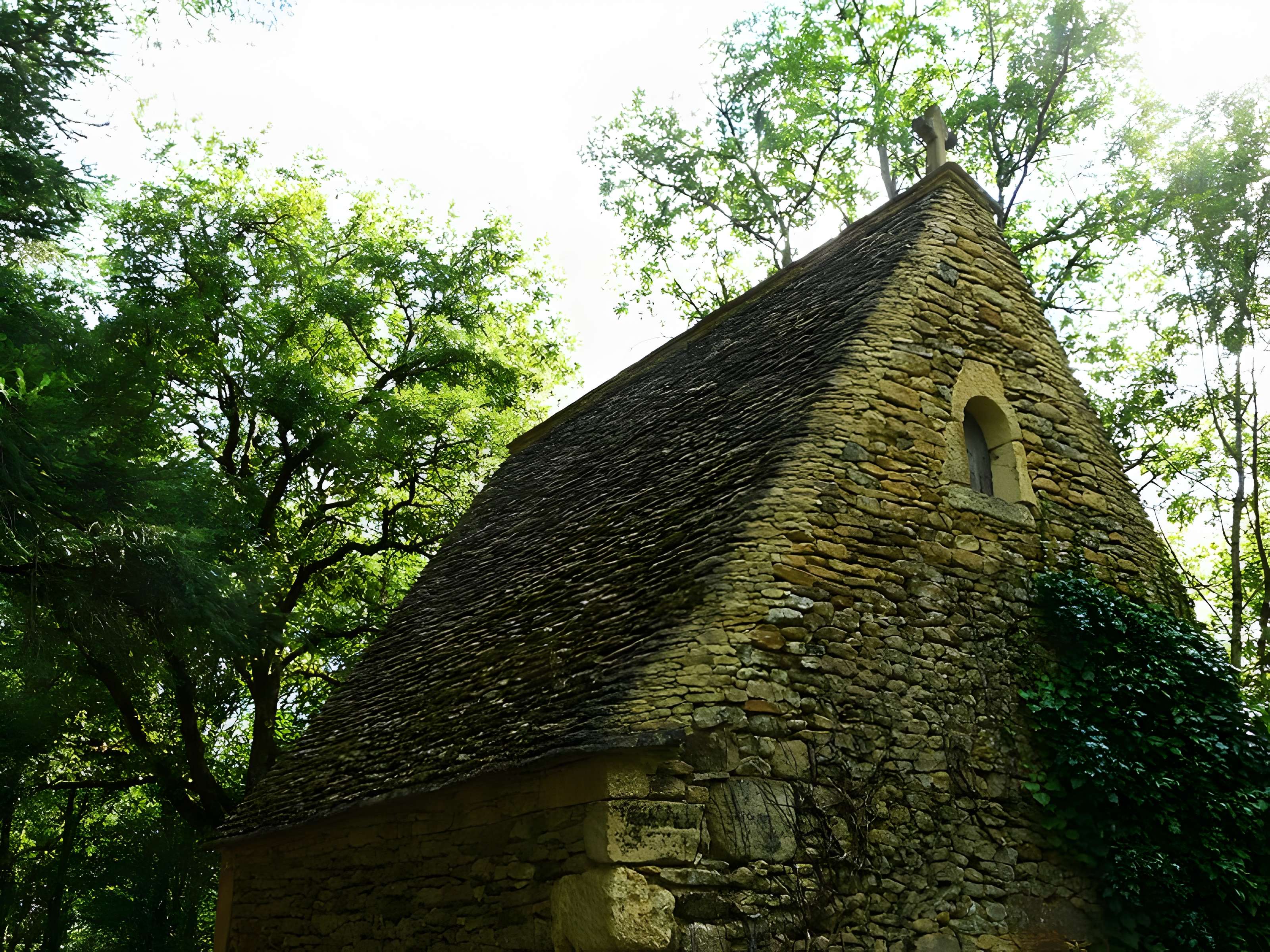 Château de Coulonges