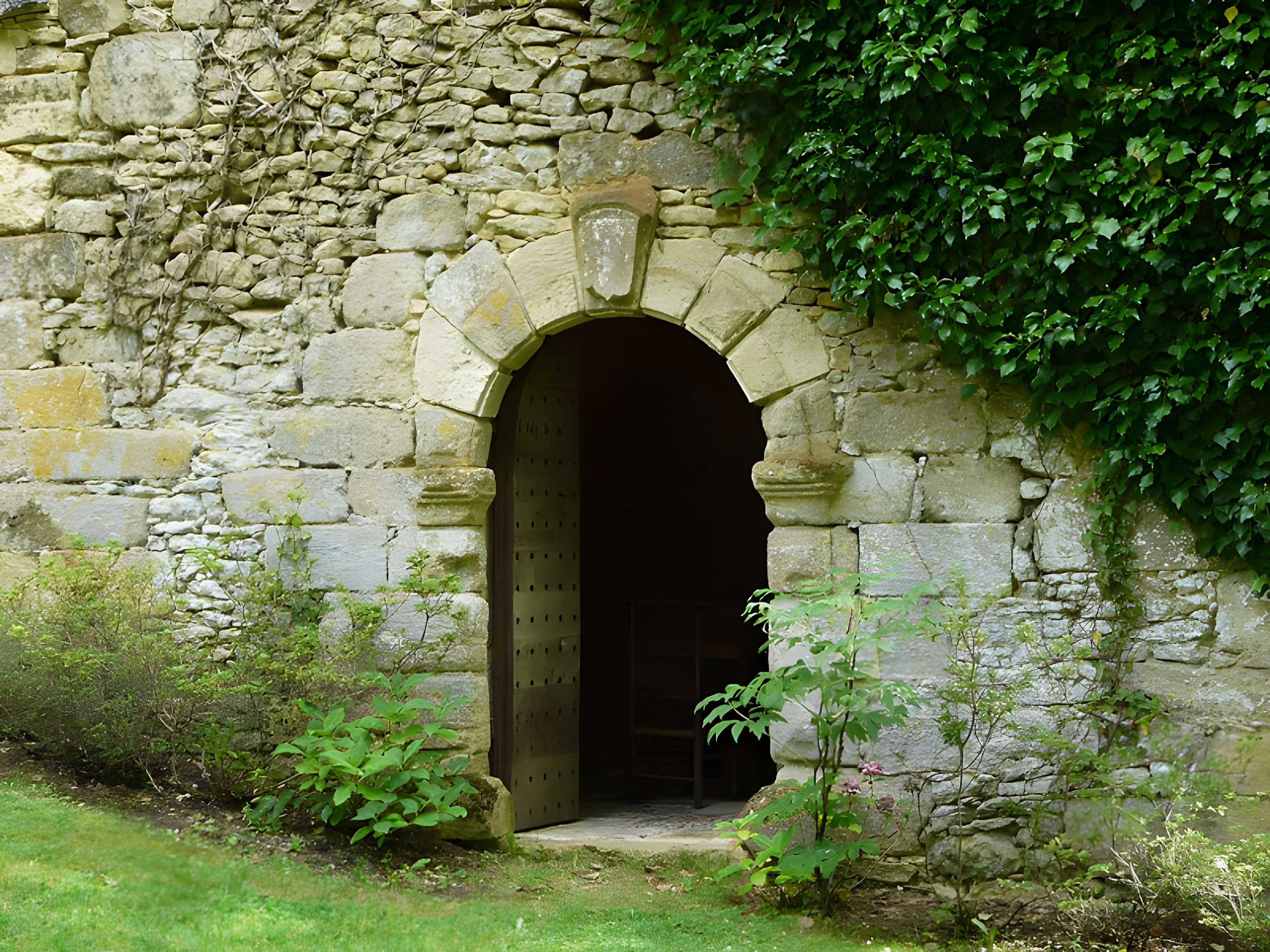 Château de Coulonges