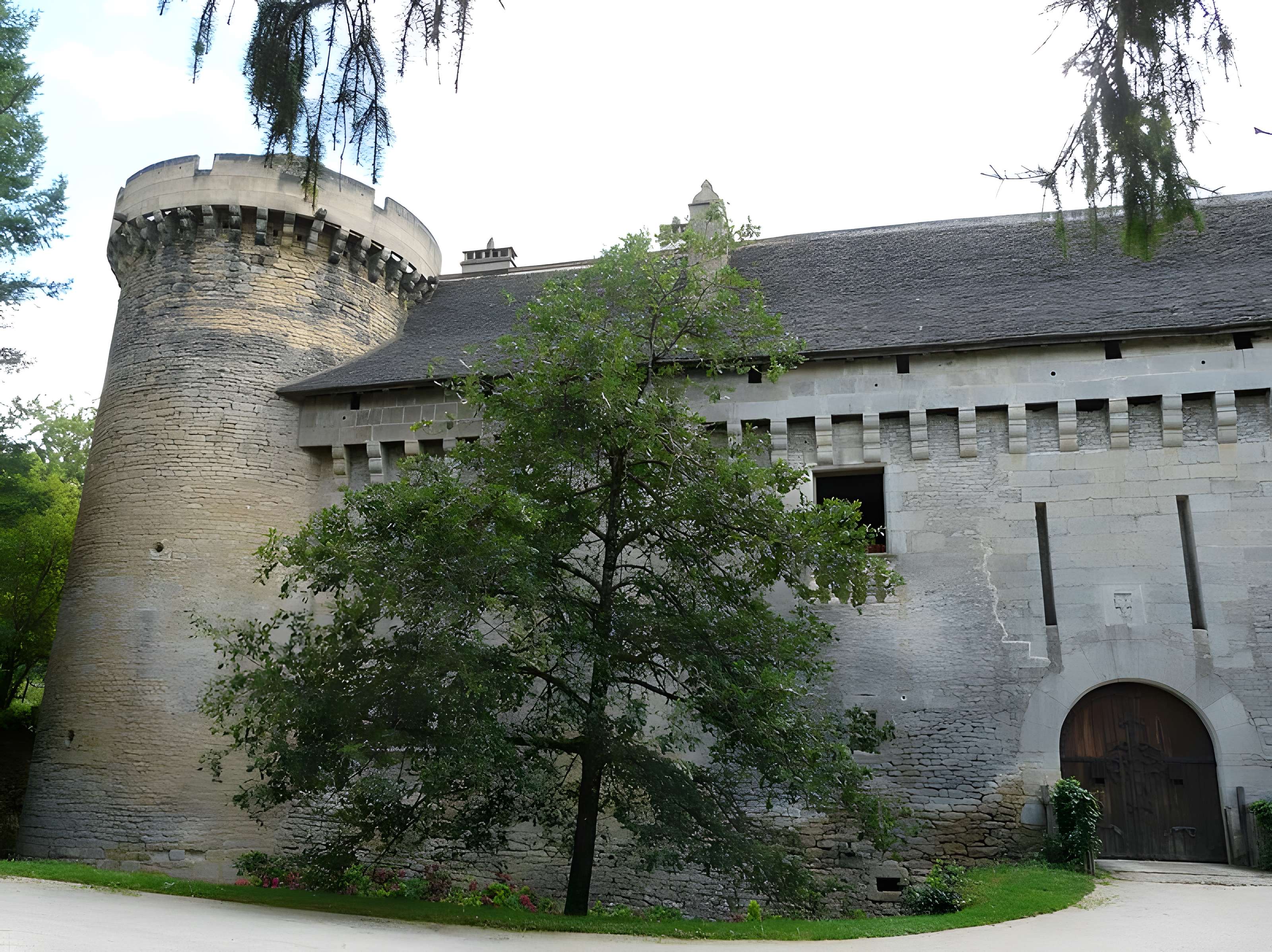Château de Coulonges